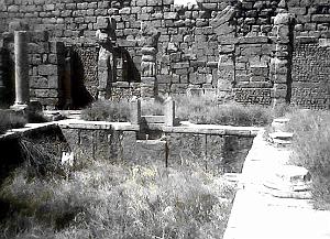 Timgad 123